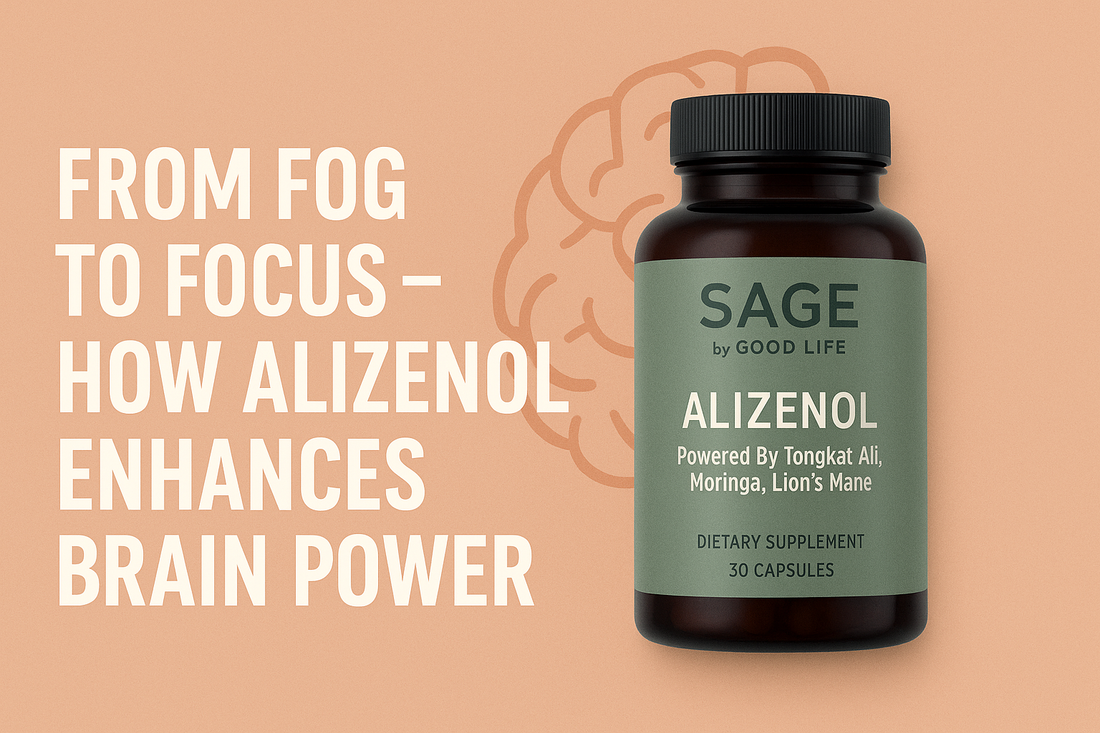 From Fog to Focus - How Alizenol Enhances Brain Power