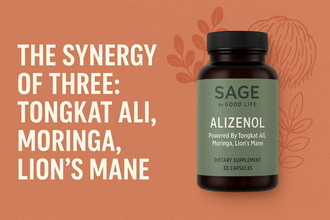 The Synergy of Three: Tongkat Ali, Moringa, Lion’s Mane