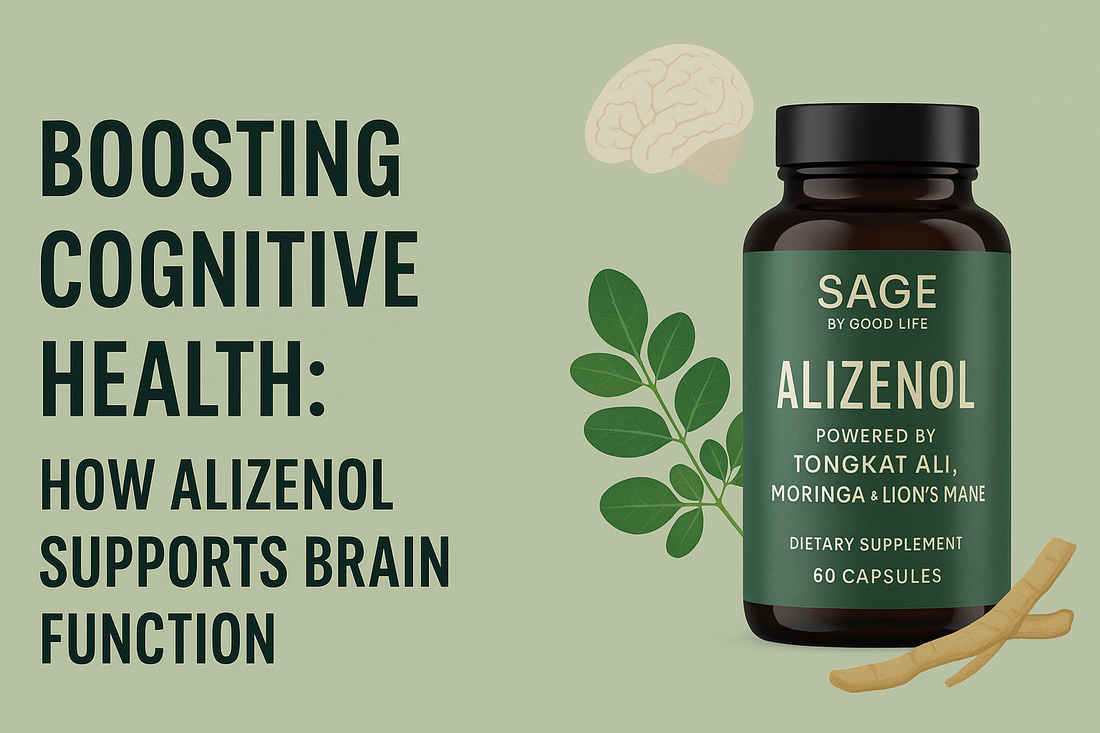 How Alizenol Supports Cognitive Clarity, Hormonal Balance, and Long-Term Vitality