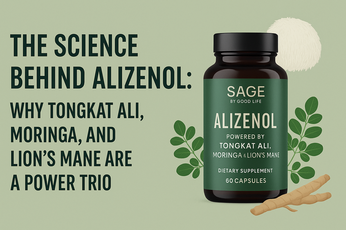 The Science Behind Alizenol: Why Tongkat Ali, Moringa, and Lion’s Mane Are a Power Trio