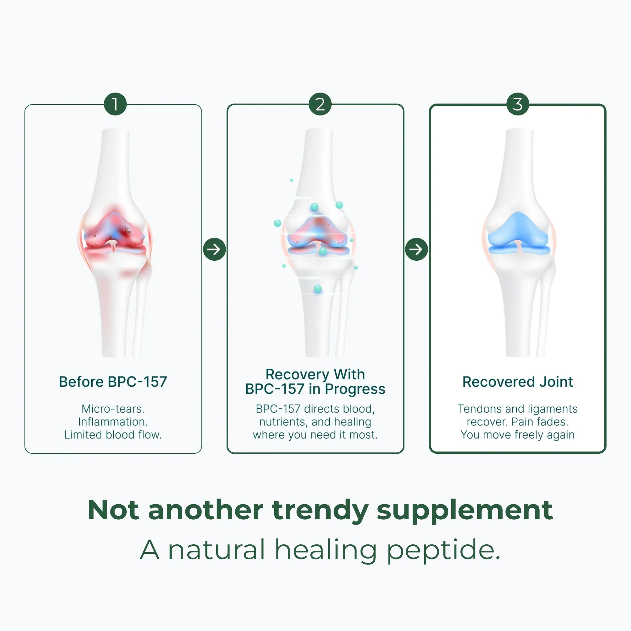 Body Protection Compound (BPC-157)