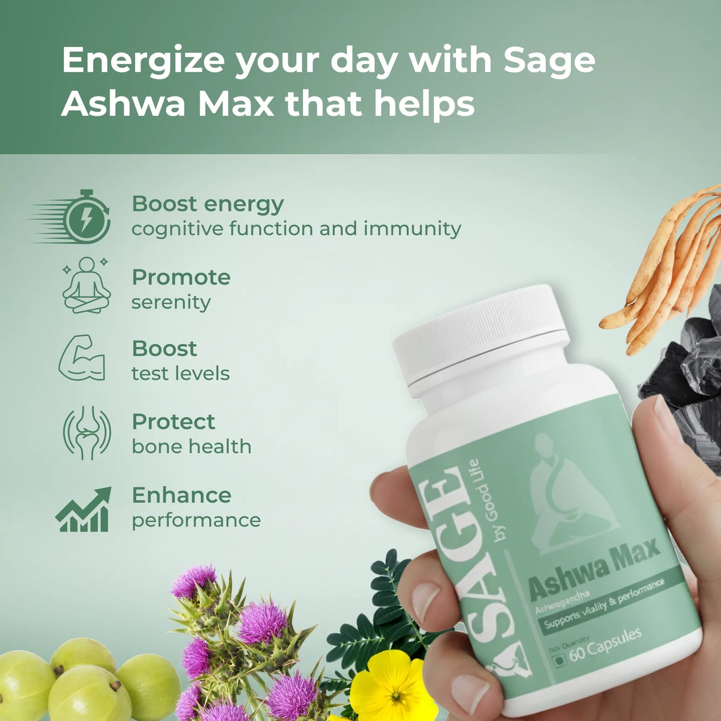 Sage Ashwa Max Capsules: Powered with Shilajit & Safed Musli