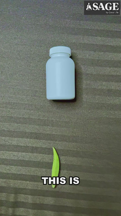 Sage Nitric Oxide Capsules for Size, Bedroom Game & Circulation with L-Arginine, L-Citrulline & Adaptogens