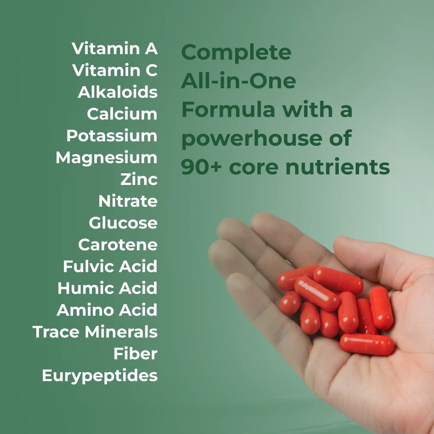 Sage Ashwa Max Capsules: Powered with Shilajit & Safed Musli