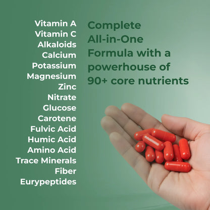 Sage Ashwa Max Capsules: Powered with Shilajit & Safed Musli